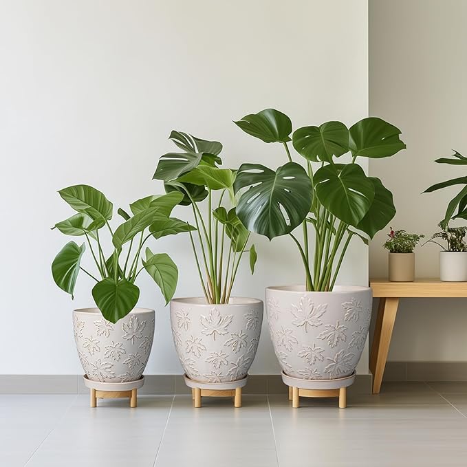 Pots for Plants 10 Inch - Ceramic Planter Large Plant Pot for Indoor Plants Outdoor Round Flower Pot with Drainage Hole and Saucer Home Garden Decor White