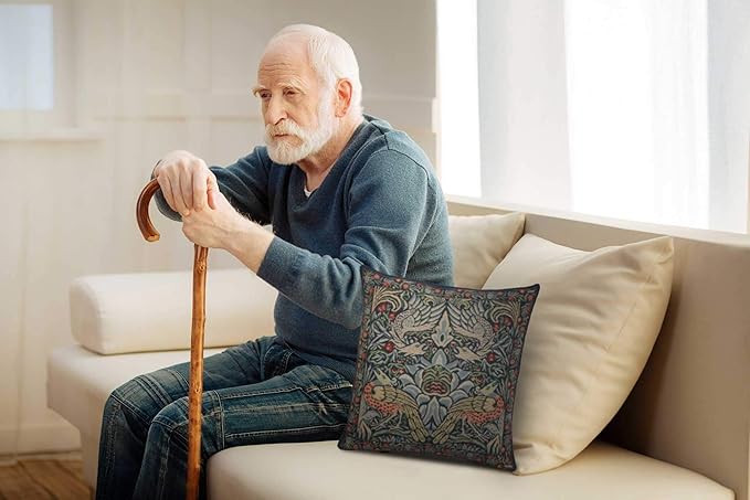 Charlotte Home Furnishings Throw Pillow Covers 16x16 in, Blue Peacock Decorative Couch Pillow Cover, Boho Decor European Tapestry Cushion Cases, Living Room Cozy Home Decor, Jacquard Woven Soft Cotton