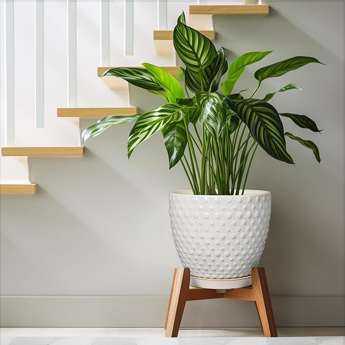 G EPGardening 10 Inch Plant Pot Ceramic Pots for Plants Indoor Outdoor Plant Pots with Drainage Hole and Saucer Round Large Flower Pot for Home Garden Office White