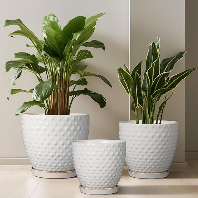 G EPGardening 10 Inch Plant Pot Ceramic Pots for Plants Indoor Outdoor Plant Pots with Drainage Hole and Saucer Round Large Flower Pot for Home Garden Office White