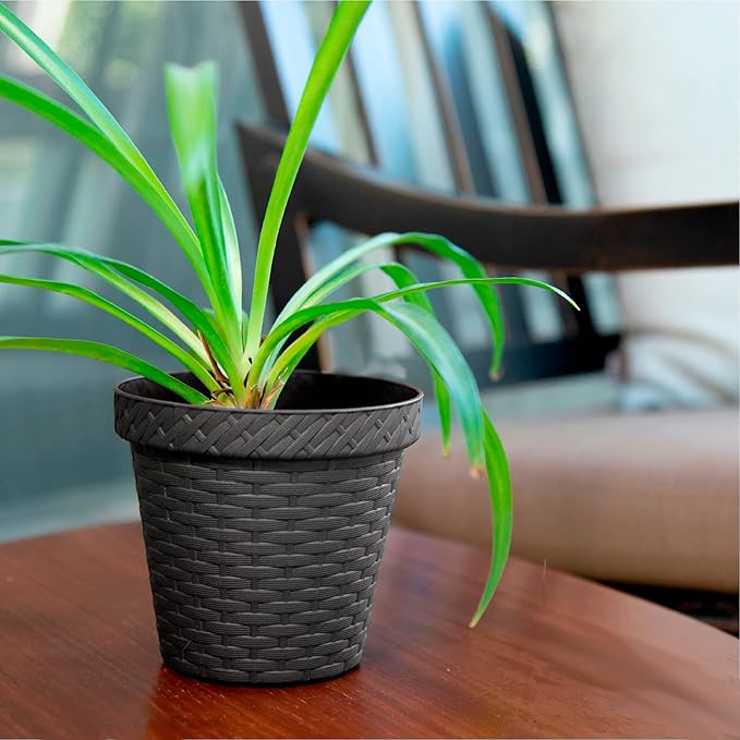 Elly Décor Set of 2 10 inch Round Saucer Modern Self Watering Planter Plates, Pots with Rattan-Like Finish, 10x10 Onix Gray