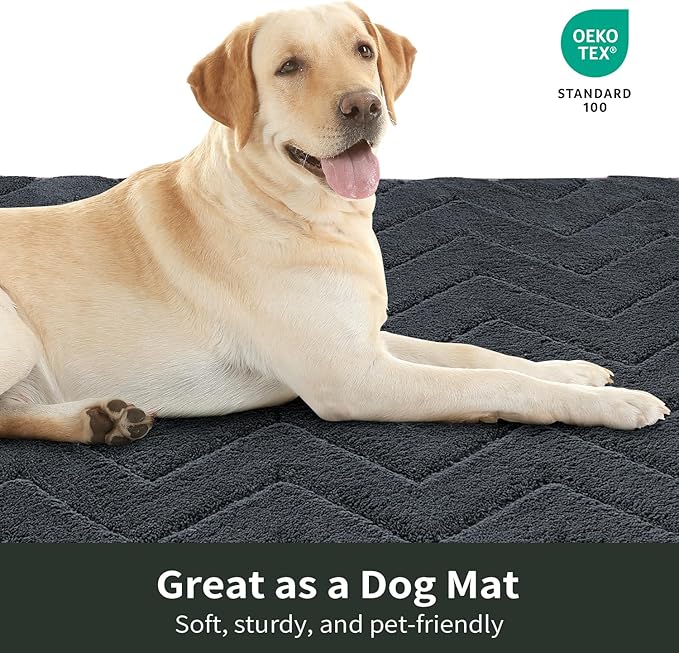 Stiio Dirt Trapper Door Mat 24x35.5 Inches, Front Doormat Indoor Outdoor Entrance Low Pile, All-Season, All-Weather Absorbent Entry Rug, Washable Non Slip Rug for Entryway, Dark Grey