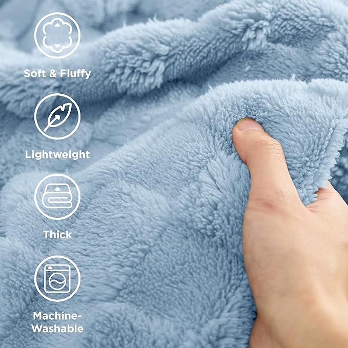 Bedsure GentleSoft Twin Blanket for Bed Light Blue - Super Soft Cozy Blankets for Women Men Girls, Cute Fuzzy Fleece Throws for Bedroom Couch, 60x80 Inches