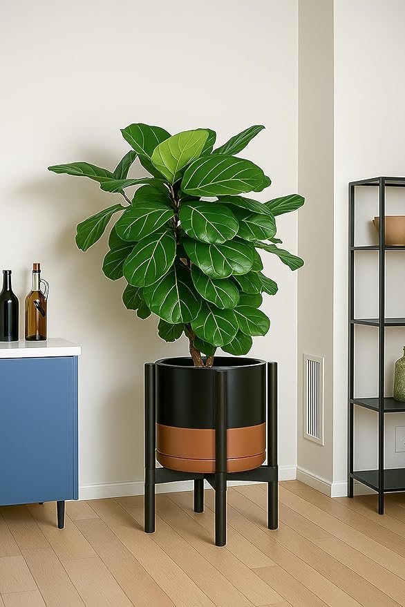 D'vine Dev Ceramic Planter with Ebony Stand - 12 Inch Modern Round Flower Pot with Wood Planter Holder, Black/Speckled Tan, 55-B-H-7