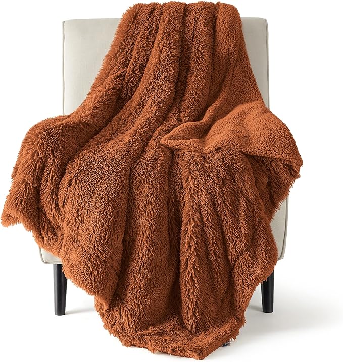 Bedsure GentleSoft Fluffy Burnt Orange Throw Blanket Fall Decorations for Home, Terracotta Blanket Fall Decor for Living Room, Soft Sherpa Fleece Fuzzy Faux Fur Plush Orange Gifts for Women, 50x60