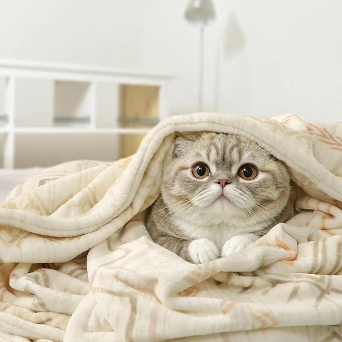 Lahome Trible Printed Blanket Aztec Beige Throw Blanket for Couch Soft Cozy Flannel Fluffy Throw Blanket Fuzzy Retro Throw Blankets for Bed Sofa, Ivory 50''x60''