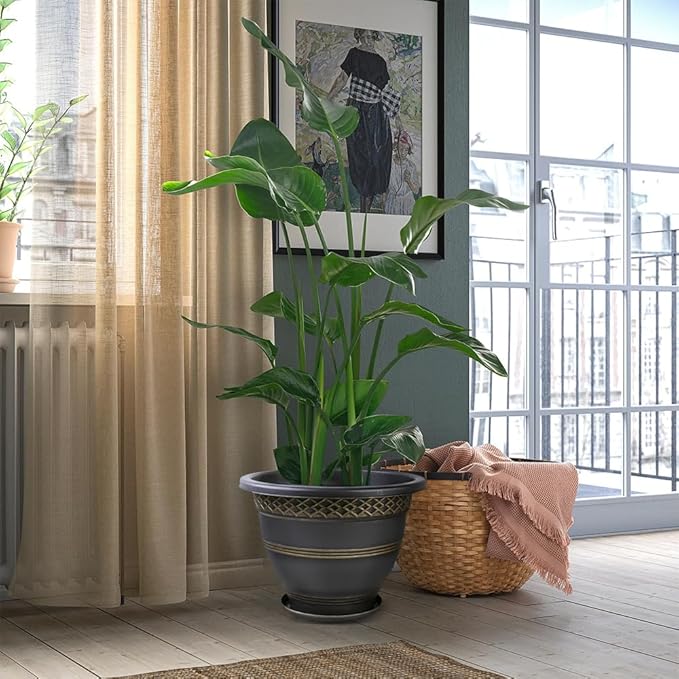 6 Pack 8 Inch Plant Pots, Plastic Flower Pot for Indoor & Outdoor with Drainage Holes & Saucer, Plaid Pattern Planters Garden Pots for Herbs