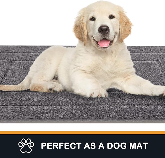 PURRUGS Dirt Trapping Door Mat 20in x 31.5in, Non-Slip/Skid Machine Washable Entryway Rug, Dog Doormat, Super Absorbent Welcome Mat for Muddy Wet Shoes and Paws, Grey