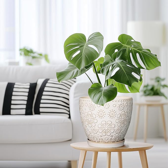 Ceramic Planter 8 Inch Plant Pot with Drainage Hole and Saucer Ceramic Pots for Indoor Plants Outdoor Large Flower Pot for Home Decor White