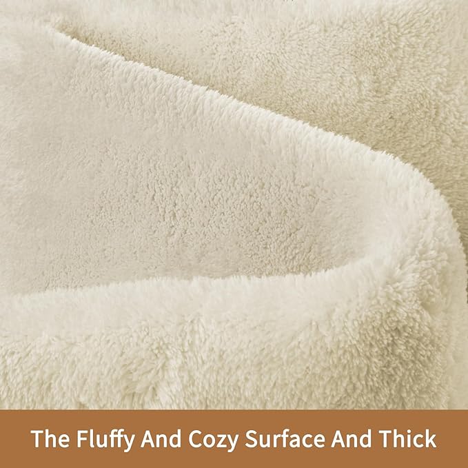 Sour Lemon 6x9 Soft Fluffy Machine Washable Non Slip Carpet Rugs for Living Room, Bedroom, Playroom, Kid's Room - Fluffy Home Decor