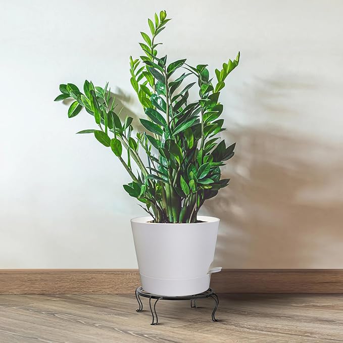 Self Watering Pots for Indoor Plants,12 inch Planters with Drainage Holes Plastic Flower Pots with Deep Reservoir, White