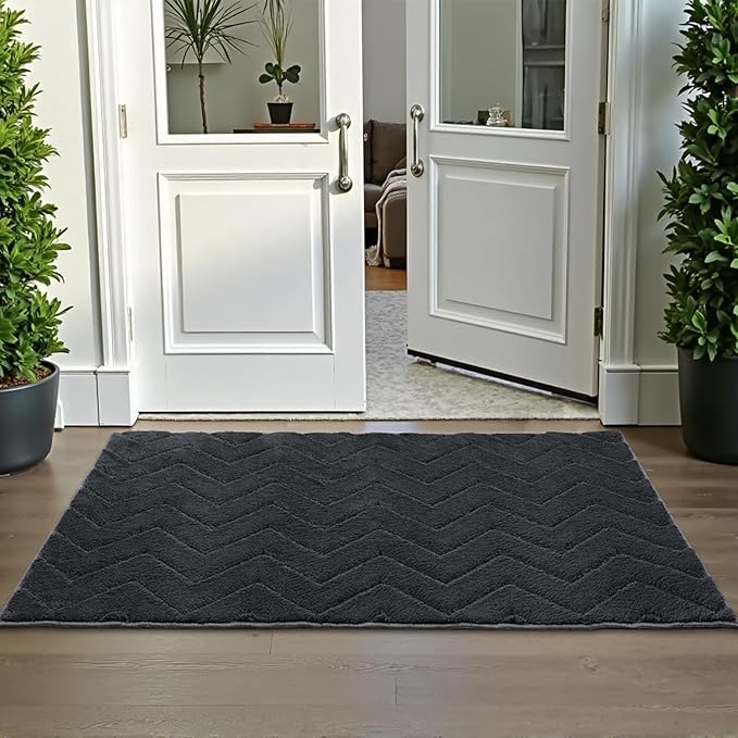 Stiio Front Door Mat Indoor Outdoor Entrance 20x31.5 Inches, Non Slip Washable Entry Rug, Dog Doormat, Absorbent Entrance Mat for Front & Back Door, Muddy Wet Shoes & Paws, Dark Grey