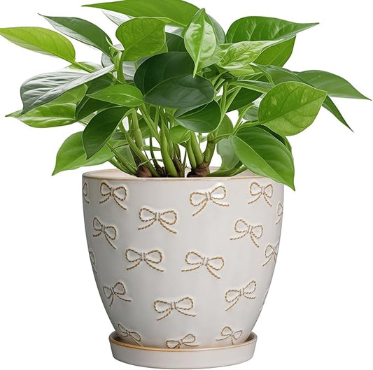 Ceramic Plant Pot 6.9 Inch - Ceramic Planter with Drainage Hole and Saucer Round Planter Flower Pot for Indoor Plants Outdoor Home Garden Office Decor White