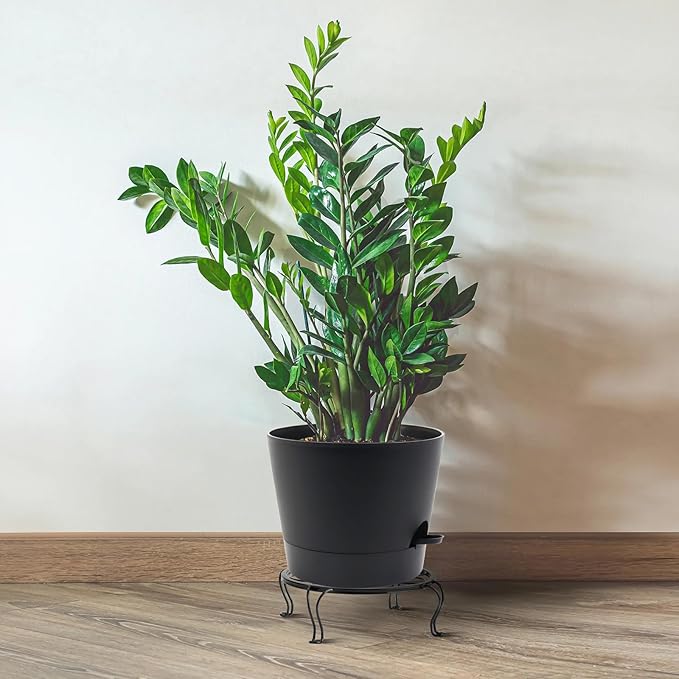 Self Watering Pots for Indoor Plants,12 inch Planters with Drainage Holes Plastic Flower Pots with Deep Reservoir, Black