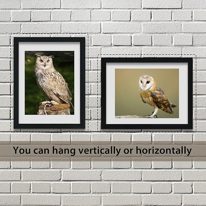 VCK 18x24 Poster Frames 3 Pack Black MDF Wood and Polished Plexiglass Frame,Display Pictures in Horizontal and Vertical