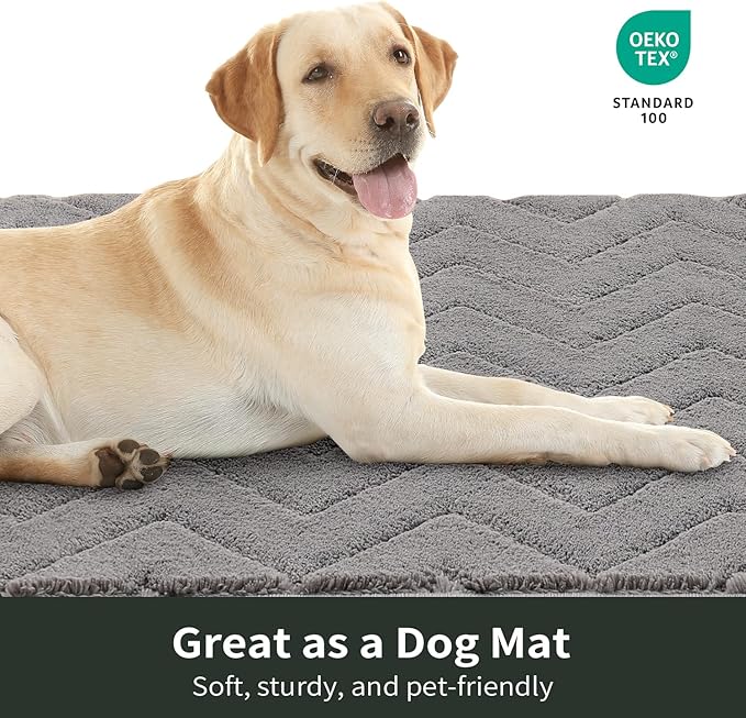 Stiio Dirt Trapper Door Mat 34x59 Inches, Front Doormat Indoor Outdoor Entrance Low Pile, All-Season, All-Weather Absorbent Entry Rug, Washable Non Slip Rug for Entryway, Grey