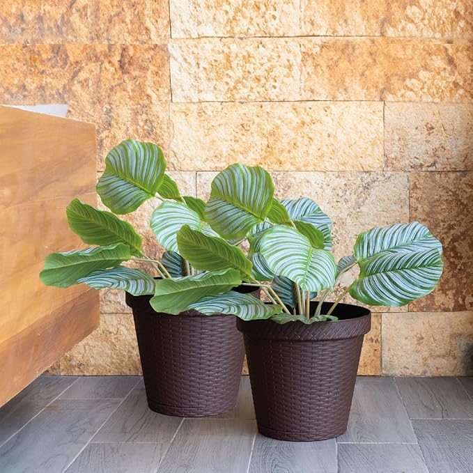 Elly Décor Set of 2 10 inch Round Saucer Modern Self Watering Planter Plates, Pots with Rattan-Like Finish, 10x10 chococlate Brown