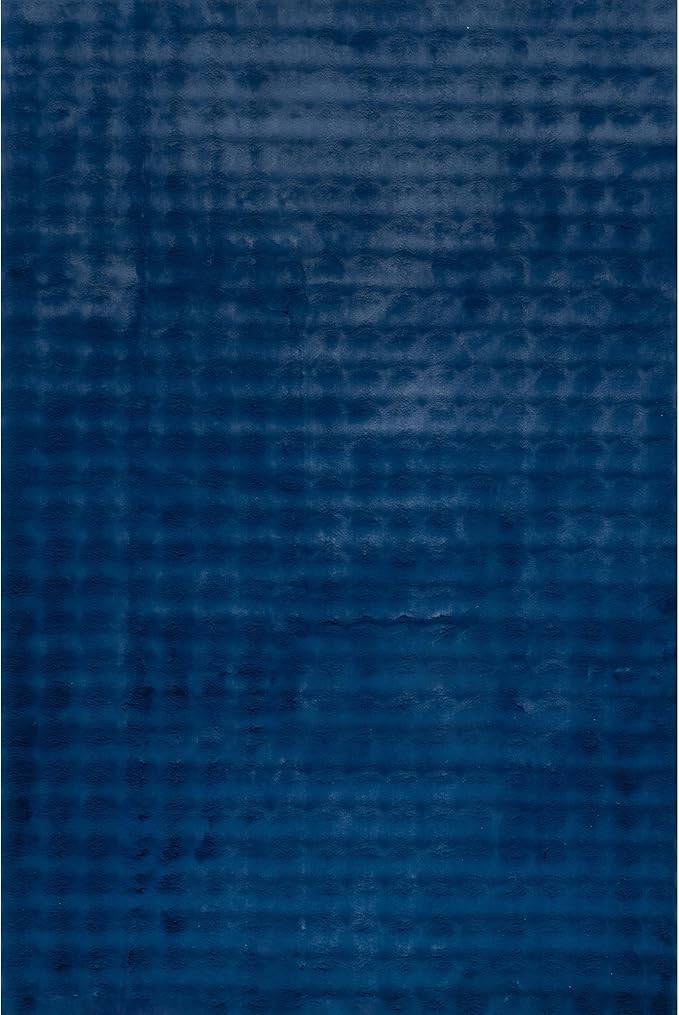 nuLOOM Jeni Checkered 3'9" x 6' Machine Washable Area Rug for Living Room Bedroom Dining Room Kitchen, Navy