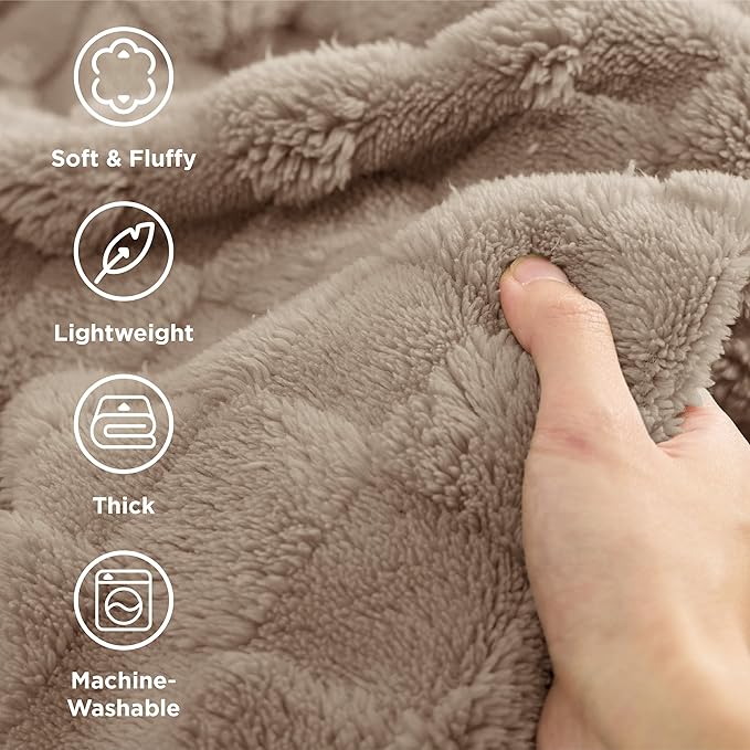 Bedsure GentleSoft Light Taupe Throw Blanket for Couch - Super Soft Cozy Blankets Gifts for Women Men Girls, Cute Small Fleece Throws for Bedroom Home Decor, 50x70 Inches