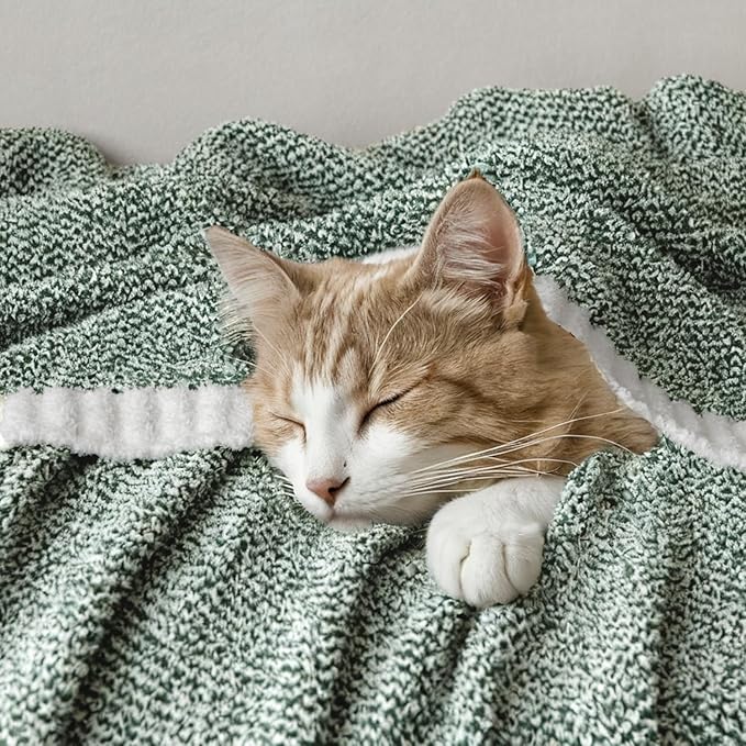 MIULEE Green Super Soft Throw Blanket for Bed, Twin Size Cozy Fluffy Warm Blankets Knit Blankets for Couch, Sofa, Chair, Living Room, Camping, Picnic, 60 x 80 inch