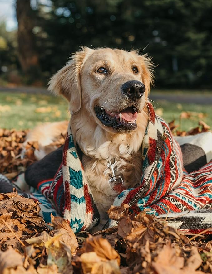 Inca Aztec Throw, Queen, King Blanket | Southwest Indian Navajo Boho Style | Native Cover for Camping, Bedding, Couch, Vanlife | Faux Alpaca, Lightweight, Hypoallergenic (Pachamama Brown, Throw)
