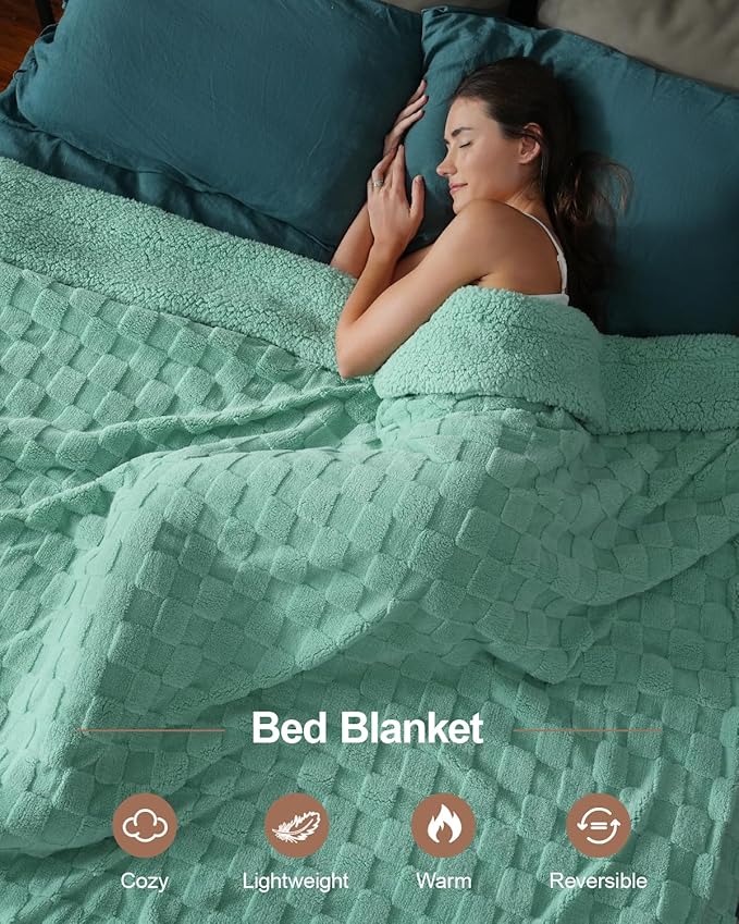 Pawque Super Soft Cozy Throw Blanket Queen Size for Couch Bed, Fluffy Sherpa Fleece Reversible Thick Warm Fuzzy Blanket for All-Season, 3D Checkered Jacquard Decorative Blankets, Sage Green, 90"x90"