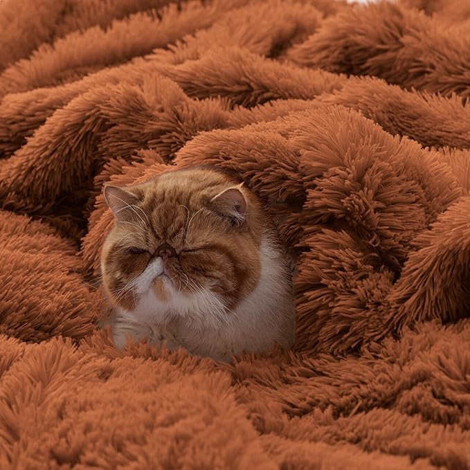 Bedsure GentleSoft Fluffy Burnt Orange Throw Blanket Fall Decorations for Home, Terracotta Blanket Fall Decor for Living Room, Soft Sherpa Fleece Fuzzy Faux Fur Plush Orange Gifts for Women, 50x60