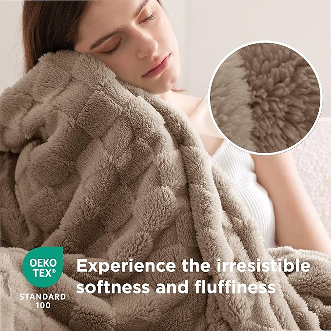 Bedsure GentleSoft Blankets Queen Size for Bed - Super Soft Cozy Blanket for Women Men Girls, Large Fuzzy Fleece Throw for Bedroom Decor, Light Taupe, 90x90 Inches