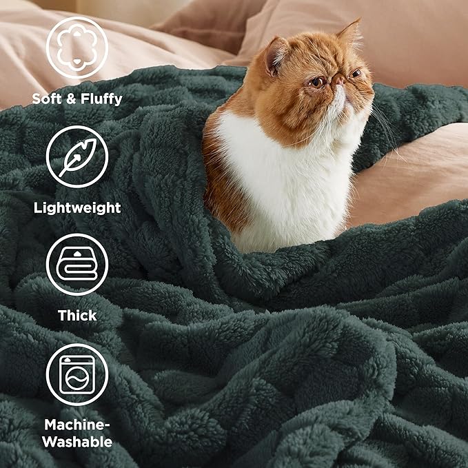 Bedsure GentleSoft Twin Blanket for Bed Dark Green - Super Soft Cozy Blankets for Women Men Girls, Cute Fuzzy Fleece Throws for Bedroom Couch, 60x80 Inches